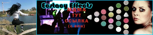 стаф Алексеевка