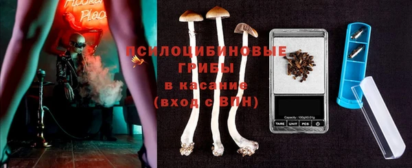 стаф Алексеевка