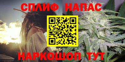 сатива Краснодар