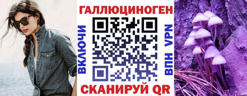 KRAKEN зеркало  Егорьевск  Псилоцибиновые грибы GOLDEN TEACHER 