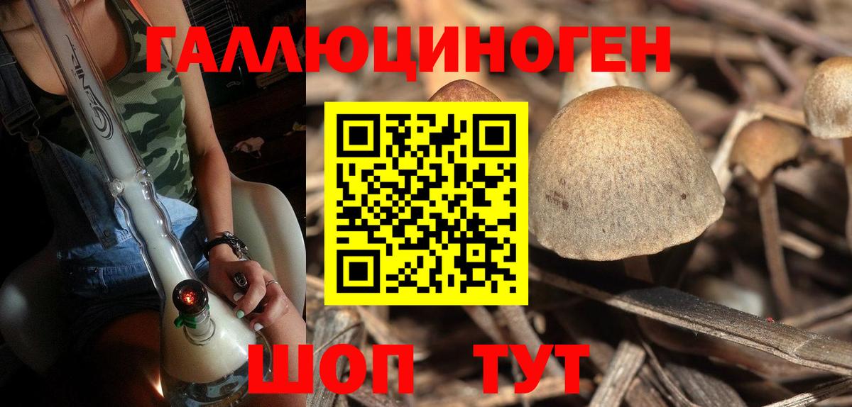 Псилоцибиновые грибы мицелий  Вход с VPN  как найти закладки  Егорьевск 