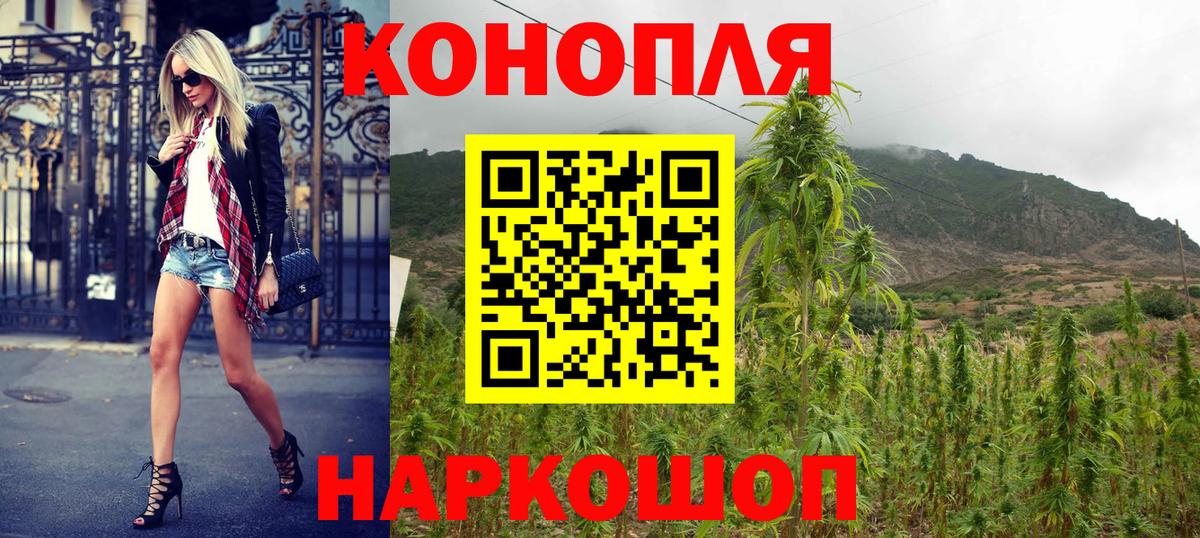 Бошки Шишки сатива Егорьевск